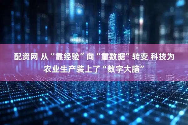 配资网 从“靠经验”向“靠数据”转变 科技为农业生产装上了“数字大脑”